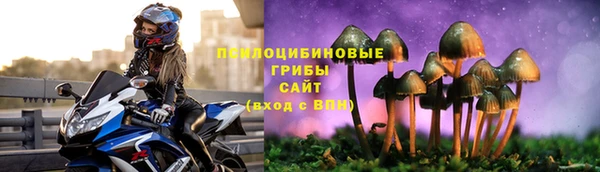 мдпв Горняк