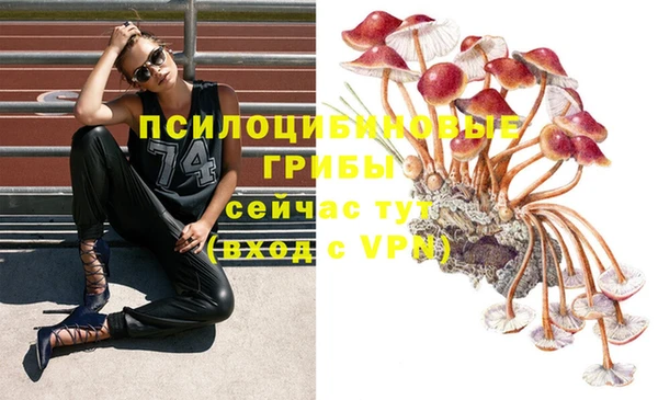 спайс Мегион