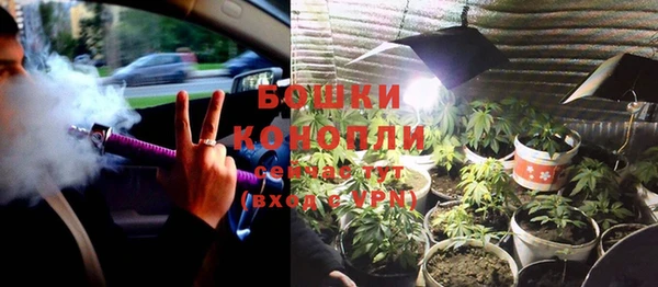 СК Горнозаводск