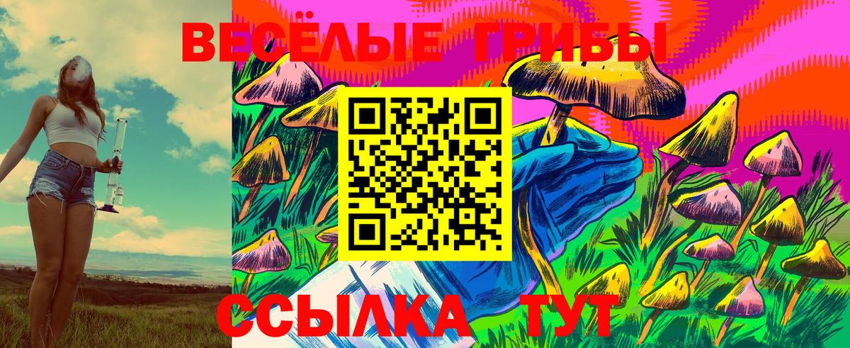 Ревда  Псилоцибиновые грибы ЛСД  Вход с VPN 