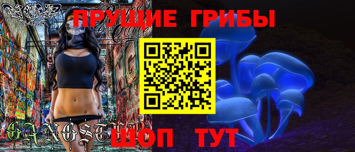 где купить наркотик  Ревда  Галлюциногенные грибы Cubensis 